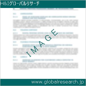 グローバルリサーチ調査レポートのイメージ